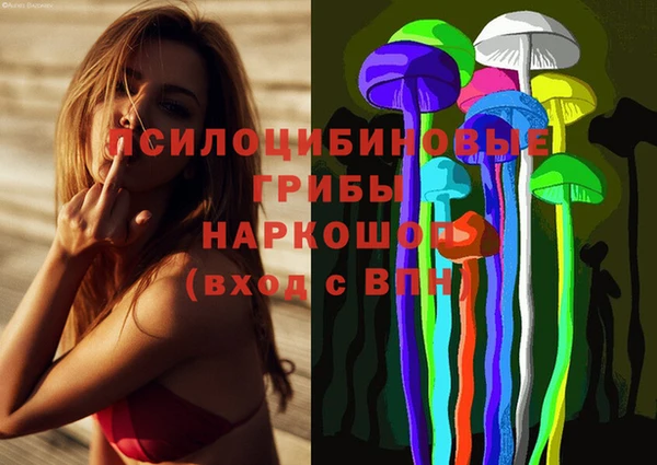 мдпв Вязники